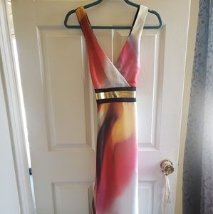 Vitsio Long Formal Dress Size Small